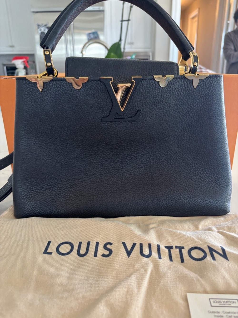 Louis Vuitton Black Classic Top Handle Bag with Gold Hardware